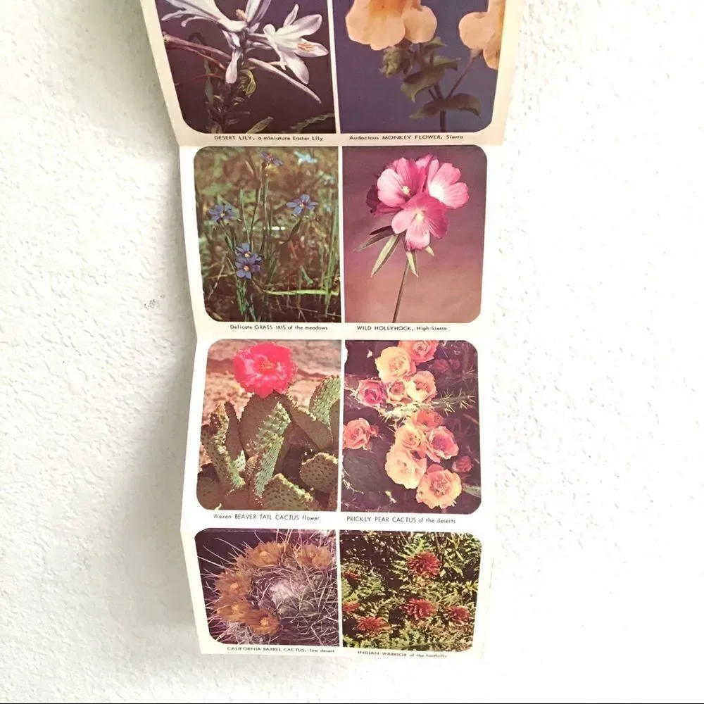 ‎Vintage California wildflower postcard set